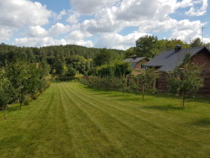 20180808_123343.jpg