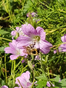20180814_101004.jpg