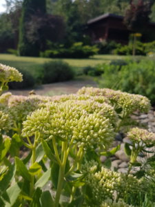 20180814_101851.jpg