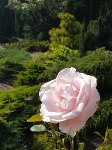 20180814_105256.jpg