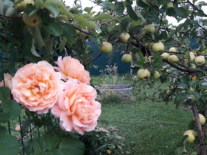 20180904_080611.jpg