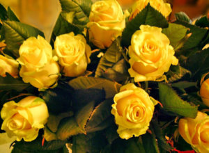 12845599.Flowers8.jpg