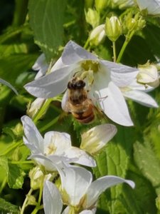 20180814_102118.jpg