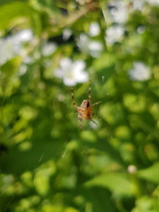 20180814_102206.jpg