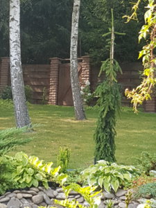 20180814_105832.jpg