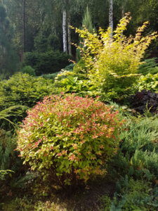 20180814_105517.jpg