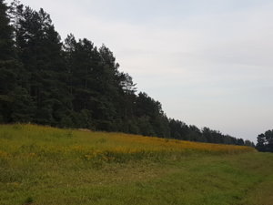 20180814_201312.jpg