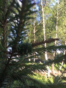 IMG_9027.JPG
