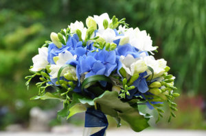 post229946_img1.jpg