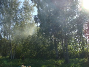 2015-08-22 13-36-34.JPG