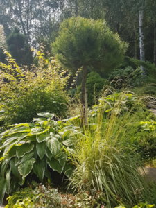 20180814_105938.jpg
