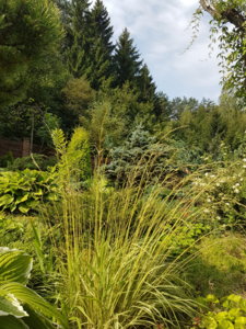 20180814_110007.jpg