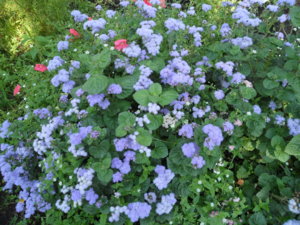 2016-08-21 08-53-50.JPG
