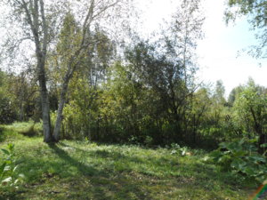 2016-09-12 12-26-46.JPG