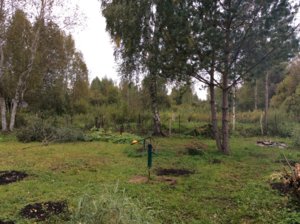 2016-09-17 17-23-22.JPG
