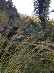 20180913_142519.jpg