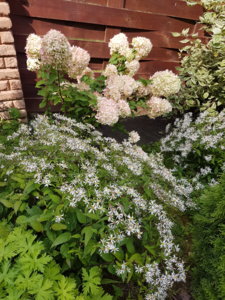20180830_142923.jpg