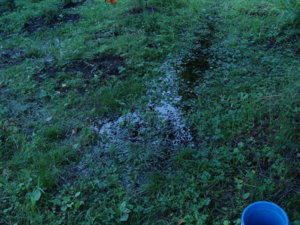 DSC04102.JPG