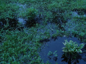 DSC04104.JPG