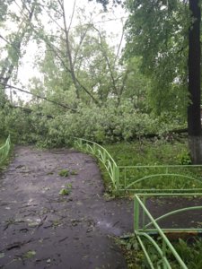 2017-05-29 18-49-46.JPG