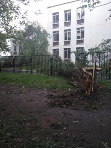 2017-05-29 18-51-04.JPG