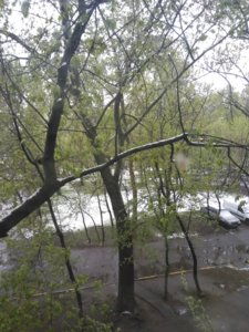2017-05-08 17-28-39.JPG