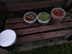 2018-07-22 09-04-52.JPG
