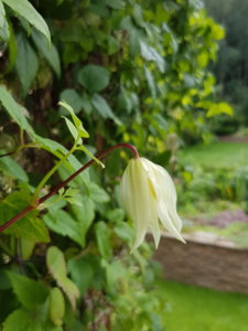 20180830_152312.jpg