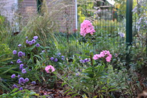IMG_9780.JPG