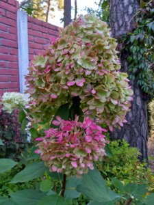 IMG_20180926_101123_HDR.jpg