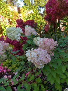 IMG_20180926_101507_HDR.jpg