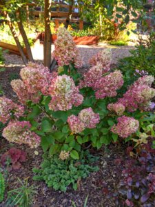 IMG_20180926_101655_HDR.jpg