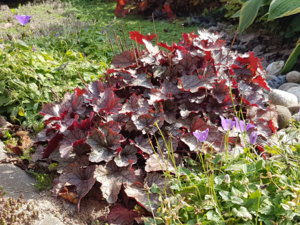 20180909_115820.jpg
