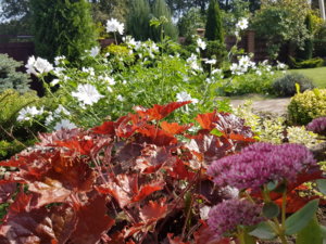 20180909_115852.jpg