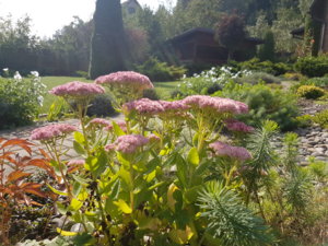 20180909_115445.jpg