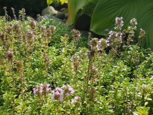 20180909_115936.jpg