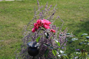 IMG_9683.JPG