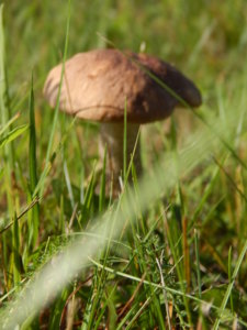 DSCN8182.JPG