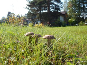 DSCN8180.JPG