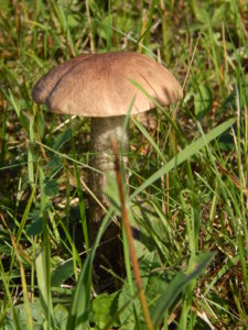 DSCN8179.JPG