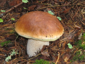 IMG_9072.JPG