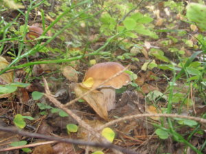 IMG_9100.JPG