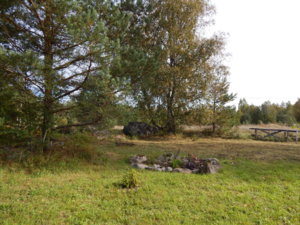 DSCN8332.JPG