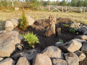 DSCN8396.JPG