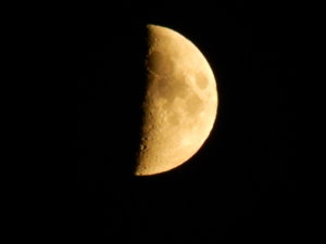 DSCN8245.JPG