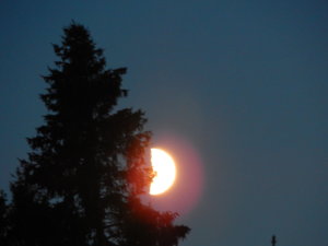 DSCN8246.JPG