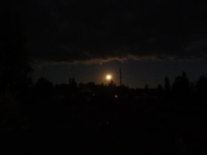 DSCN8352.JPG