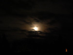DSCN8368.JPG