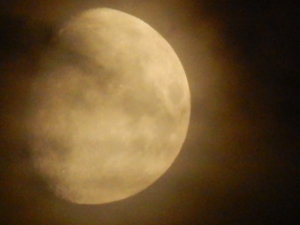 DSCN8378.JPG