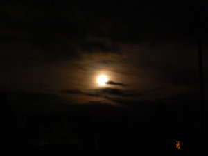 DSCN8380.JPG